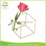 Stand or Hanger in Copper Wire Evergreen | Modern & Simple Houswares Dodecahedron Flower Tillandsia Air Plant Holder thumbnail-3