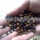 High Speed Automatic Chinese Medicine Pill Rolling Machine thumbnail-5