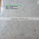 Nata de Coco thumbnail-2