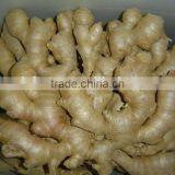 Fresh Dried Ginger thumbnail-3