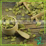Latest Crop White Pumpkin Seeds Kernel Dried Pumpkin Seeds Kernel thumbnail-2