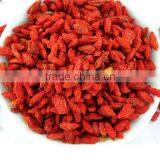 Wolfberry Extract thumbnail-2