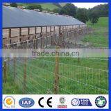 Hot Dipped Galvanized Barbed Wire For Feild Fence