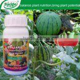 Organic Foliar Fertilizer For Melon