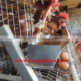 Dingtuo Chicken Cage Transaction Record thumbnail-2