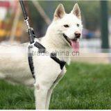 Wholesale Pet Collar Making Supplies / Pet Dog Leash Chain and Harness thumbnail-1