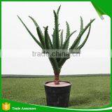 Potted Artificial Mini Succulent Plant for Decoration thumbnail-1