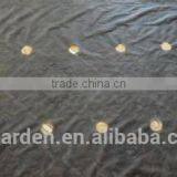 Black Weed Barrier Fabric/Anti Grass Cloth thumbnail-3