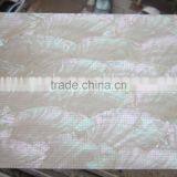 Natural Flexible Japanese Donkey Ear Shell Papers