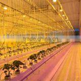 LED Grow Light With Hydroponic System Greenhouse thumbnail-3