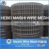 1/2" Sq Mesh Galvanized Weld Wire Mesh thumbnail-4