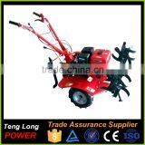China Best Choice Agricultural Mini Gasoline Power Tiller Cultivaor thumbnail-1
