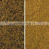 2017 Intelligent Image Double Side Ccd Camera Seed Color Selector thumbnail-5