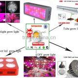 VANQLED Best Price Growth Led 1w Led Full Spectrum 3w for Hydroponic thumbnail-2