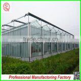 Hot Sale Multi-span Glass 6.4m Galvanized Steel Frame Greenhouses for Agriculture thumbnail-2