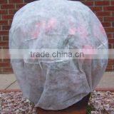 PP Non-woven Fabric , Plant Fleece, Mulch Fleece thumbnail-1