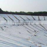 Hot Sale HDPE Geomembrane HDPE Sheet . thumbnail-2