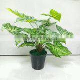 SJ13001106 Artificial Water Arum Plant Sale thumbnail-1
