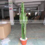 CHY030930 Landscaping Cactus Plant With Flowers/indoor Plastic Succulent Plant thumbnail-1