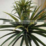Single Pineapple Plant Artificial Decorative Plant Wholesale thumbnail-6