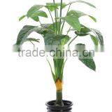 HX0101 Mini Decorative Flower Bonsai thumbnail-1