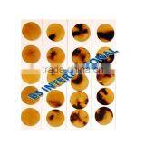 Ox Horn Button Blanks thumbnail-1