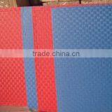 Reversible Color Good Price Shockproof Non Smell Eco Friendly Eva Judo Tatami Mat thumbnail-2