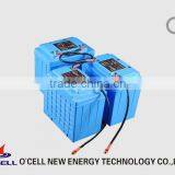 Lifepo4 36v Battery for Home Energy Storage System thumbnail-1