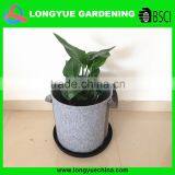 Fabric Plant Grow Bag thumbnail-1