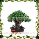 Wholesale Fake Bonsai Fruit Tree Ornamental Artificial Plant Artificial Orange Tree Bonsai thumbnail-1