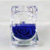 Fashionable And Natural Real Rose Preserved Flowers Wholesale With Acrylic Ring Box Decoration thumbnail-2
