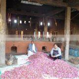 Fresh Hydrodistilled Rose Floral Water, thumbnail-1