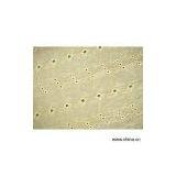 Sell Embroidery On Voile thumbnail-1