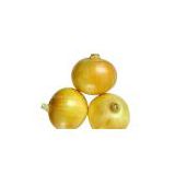 onion (yellow onion,red onion,shallot)