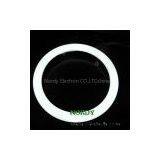 LED Ring Light 300mm*30mm 20W Led Circular Tube thumbnail-2