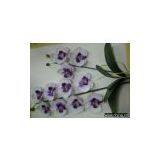 Phalaenopsis Set Artificial Orchid thumbnail-1
