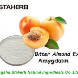 Amygdalin   Semen Armeniacae Amarum P.E 29883-15-6    Staherb Natural Ingredients