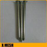 40D 5inches Length Galvanized Common Wire Nails thumbnail-2