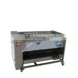 Wholesale Automatic Vegetable Irish Potato Onion Ginger Peeler Taro Radish Date Passion Fruit Peeling Machine thumbnail-3