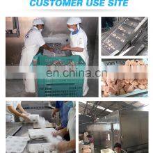 Seafood Processing Plant Small IQF Machine Fish Quick Freezing Machine thumbnail-2
