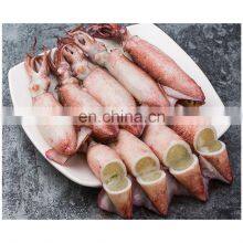 Good Quality Frozen Loligo Squid With Roe for Export
