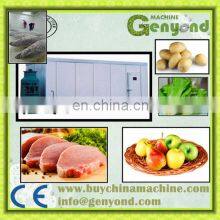 Frozen Cold Room for Meat and Fish With Solar Power Cold Room Thermometer thumbnail-2