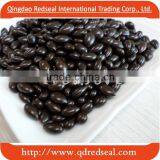 Chocolate coated sunflower seed kernels