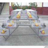 Wholesale Galvanized Layer Chicken Cages/Battery Cage thumbnail-5