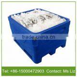 1000L Capacity PE Fish Storage Box, Plastic Storage Box Fish for Frozen Fish Transport Quality Choice thumbnail-4