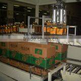 YK-ZX05 Big Bottle Type Case/Carton Packer Automatically