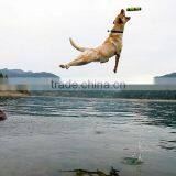 Promotion Flying Disc For Dog