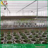 Large Sawtooth Type Outdoor Greenhouse Greenhouse Plastic Covering thumbnail-5