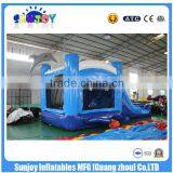 Hot Commercial Grade Cheap Dolphin Water Slide ,28ft Castle Slide thumbnail-3