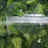 Shandong Fresh Frozen Broccoli Florets thumbnail-1